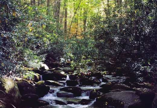 Gabes Mountain Trail